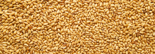 Mahlgutübersicht Weizen