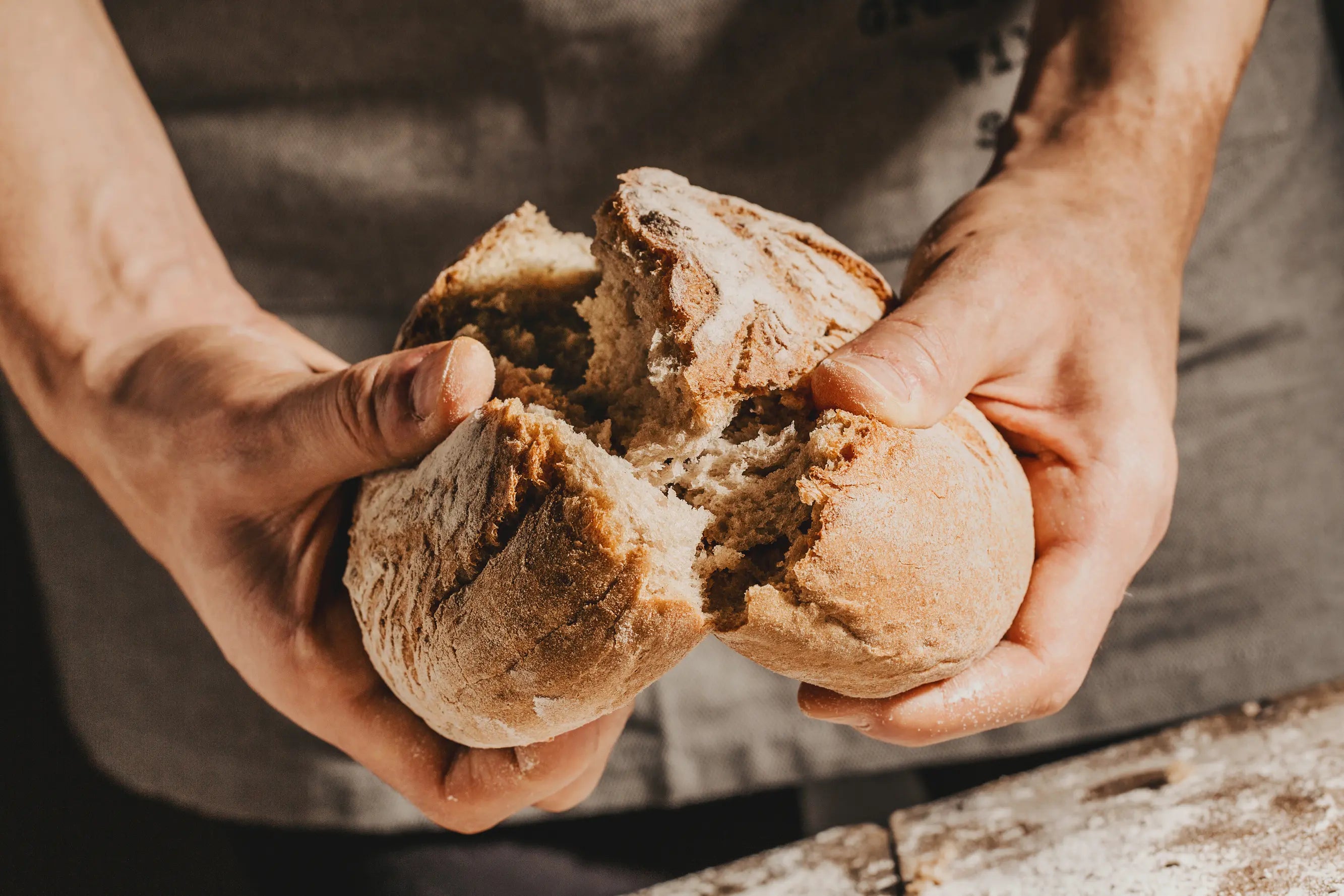 Frisch gebackenes, rustikales Brot wird von Hand aufgebrochen – knusprige Kruste und weiche, luftige Krume, perfekt aus selbst gemahlenem Mehl gebacken.